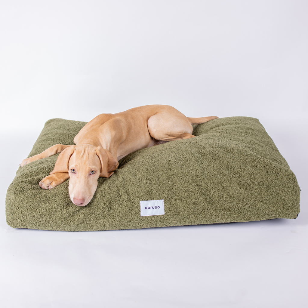 Hundebett Cozy Teddy Grün