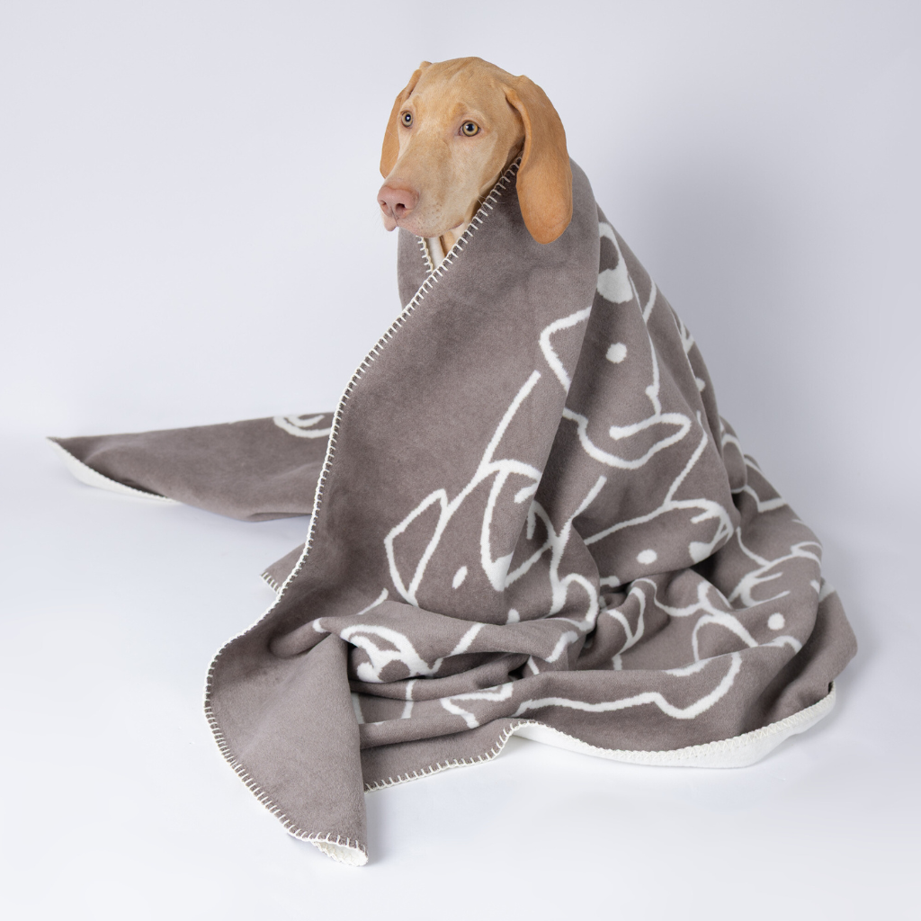 Decke Hundegesichter