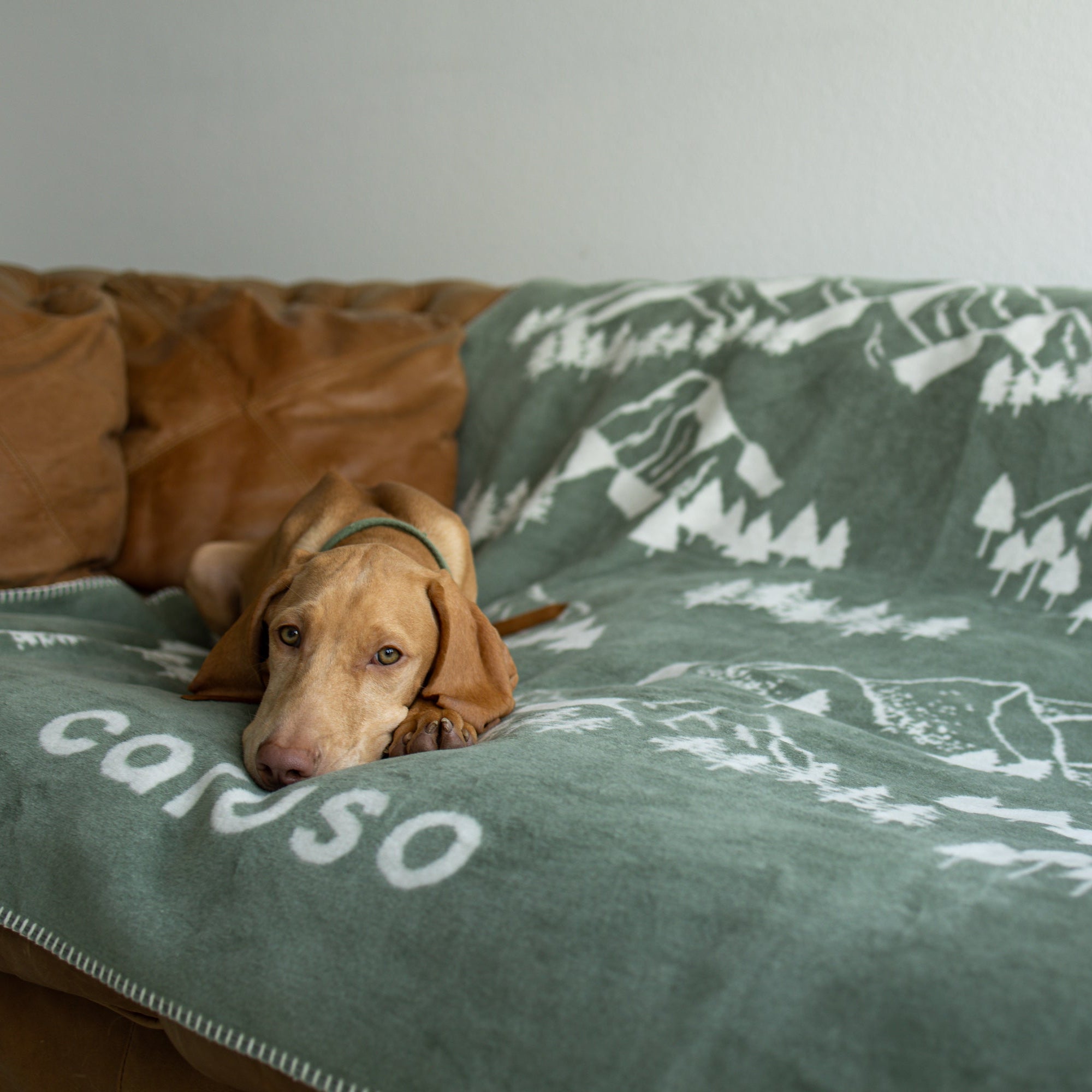 Decke Caruso Forrest