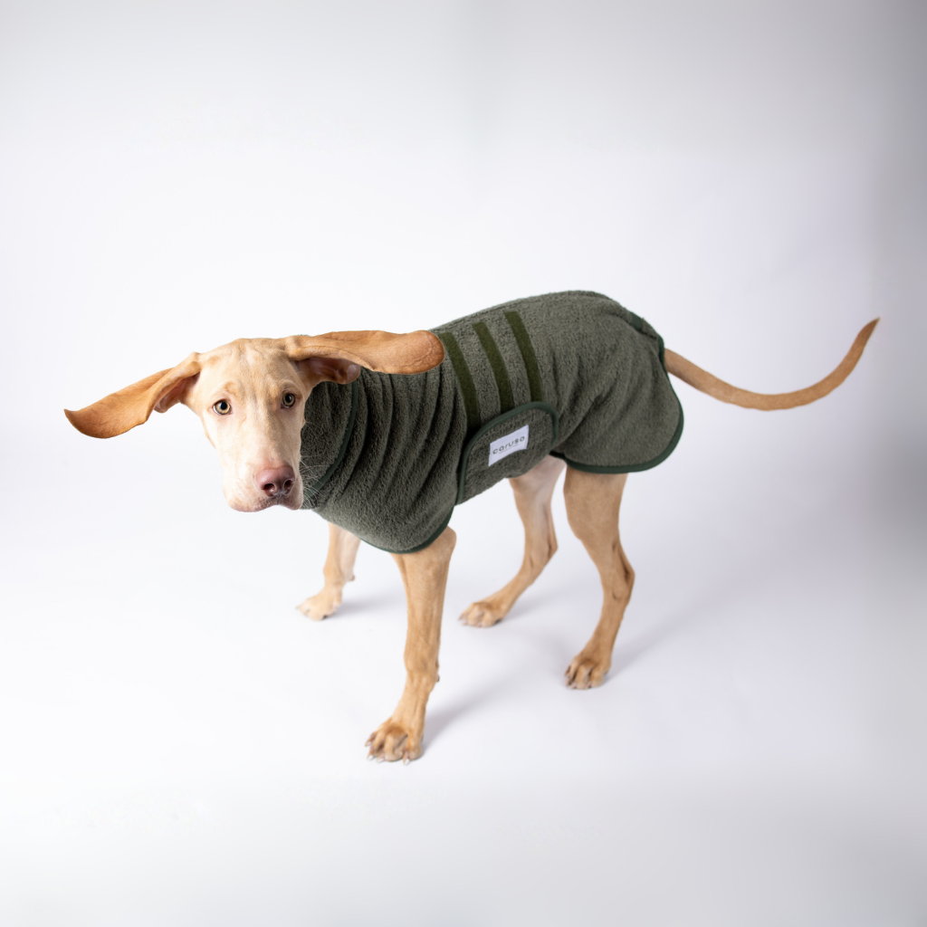 Hundebademantel Waldgrün