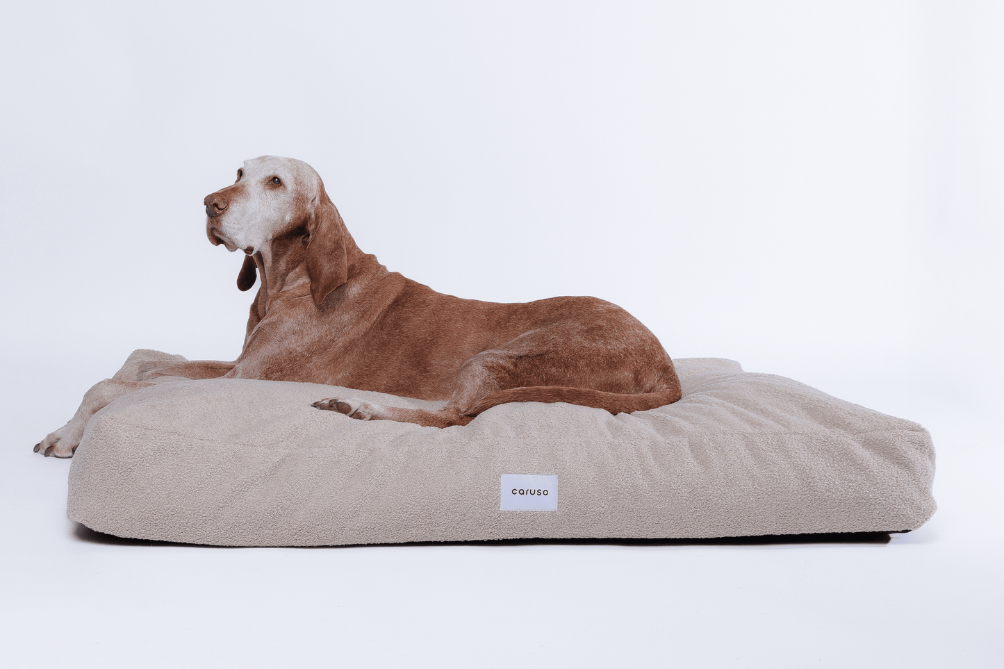 orthopädisches hundebett in beige mit teddyfell von vorne mit Magyar Viszla