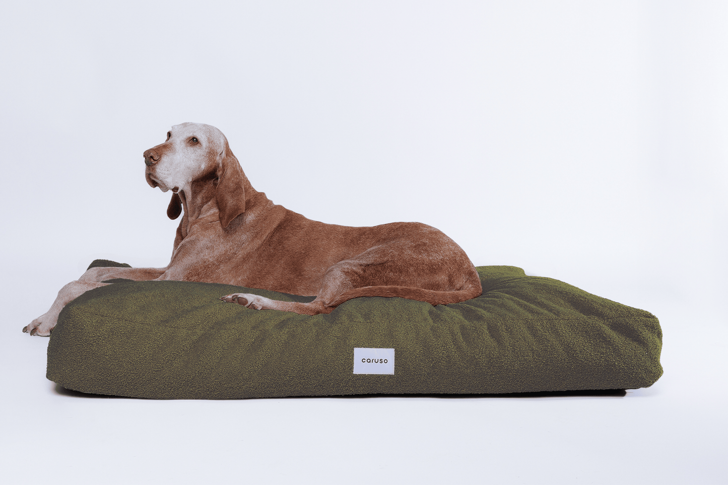 orthopädisches hundebett in grün mit teddyfell von vorne mit Magyar Viszla