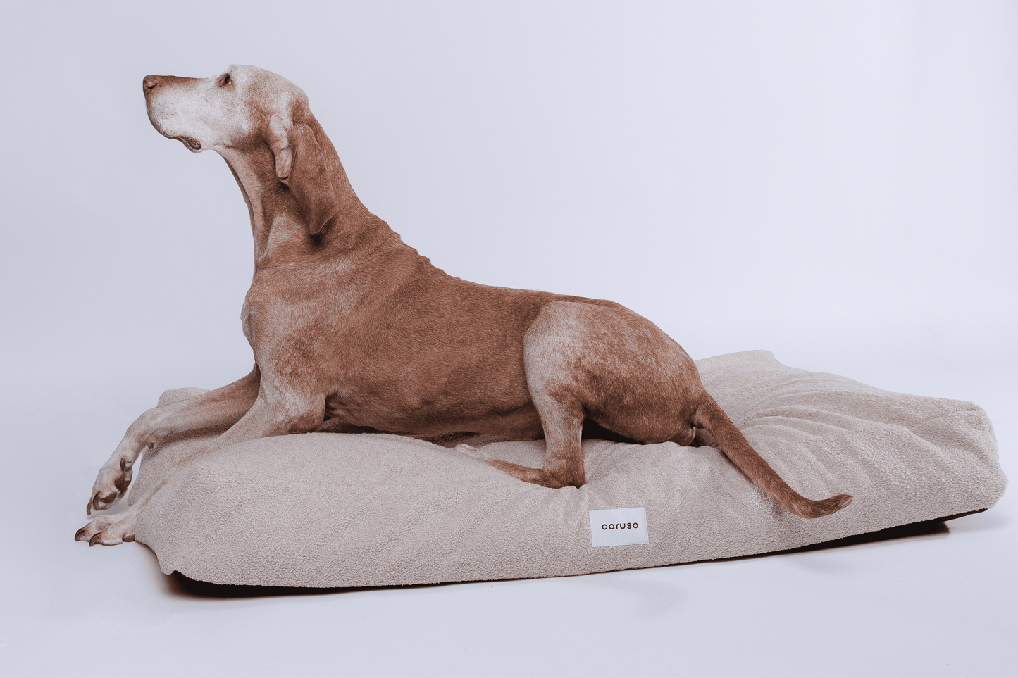 orthopädisches hundebett in beige mit teddyfell seitlich mit Magyar Viszla