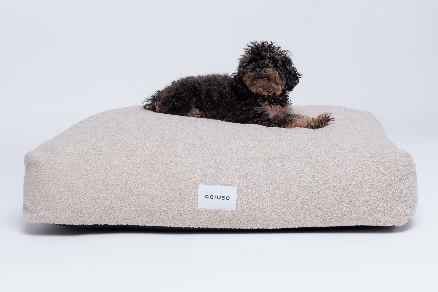 orthopädisches hundebett in beige mit teddyfell frontal mit kleinem Pudel