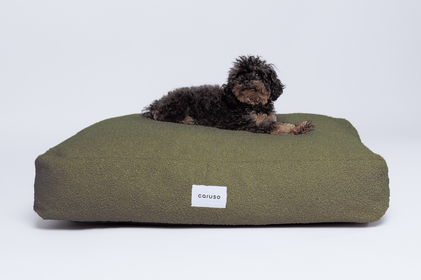 orthopädisches hundebett in beige mit teddyfell frontal mit kleinem Pudel