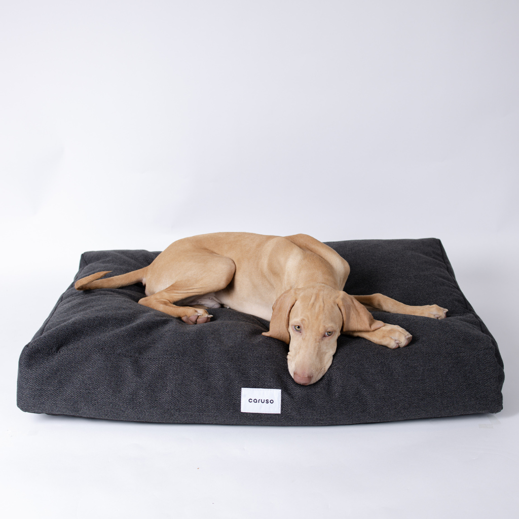 Hundebett Easy Clean Schwarz