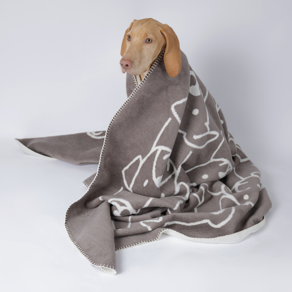 Decke Caruso Dogs