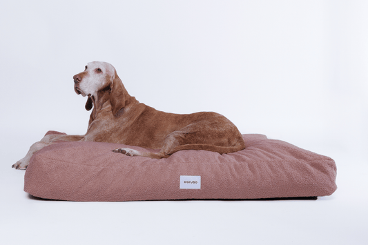 orthopädisches hundebett in rosa mit teddyfell von vorne mit Magyar Viszla 