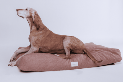 orthopädisches hundebett in rosa mit teddyfell seitlich mit Magyar Viszla 