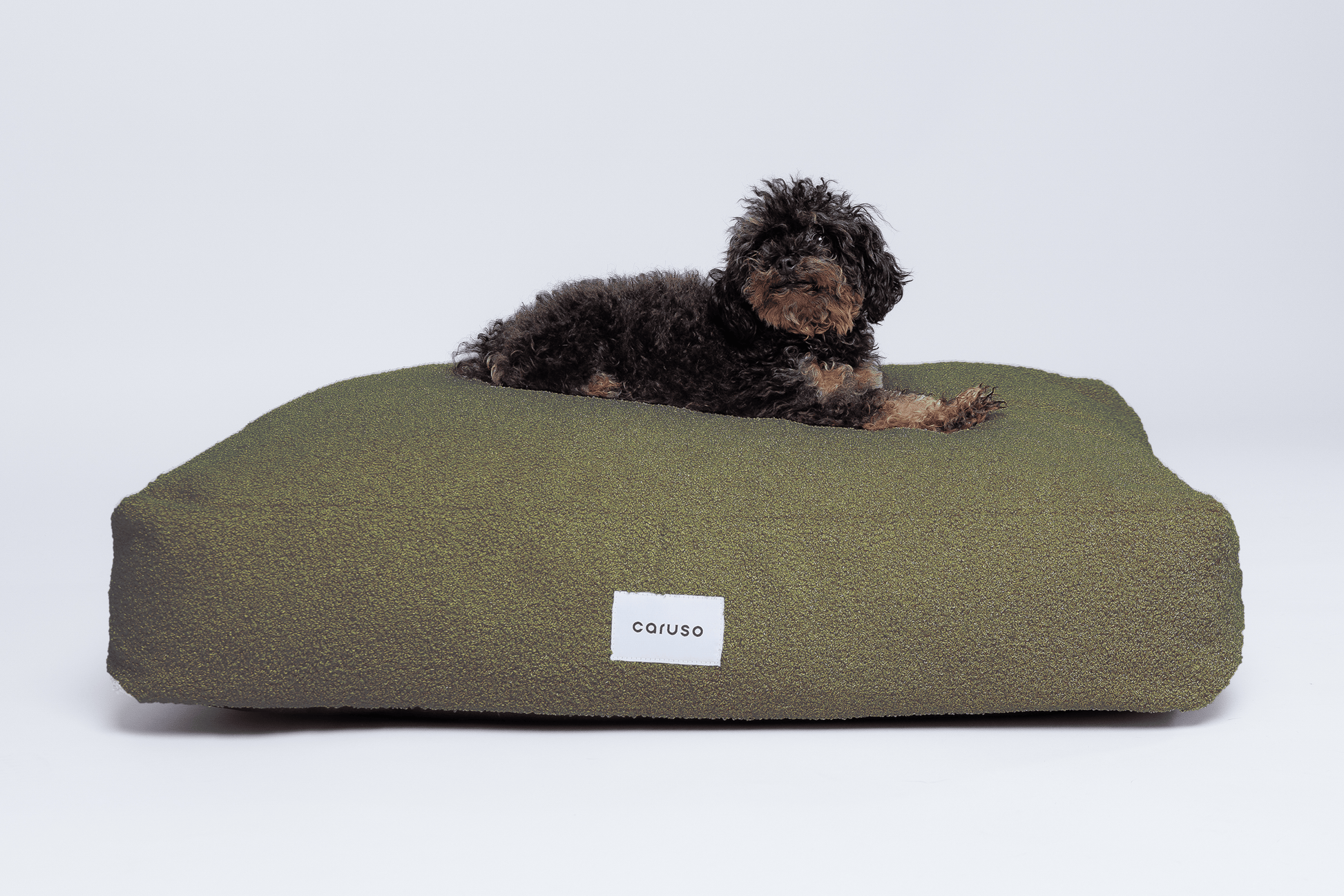 orthopädisches hundebett in beige mit teddyfell frontal mit kleinem Pudel