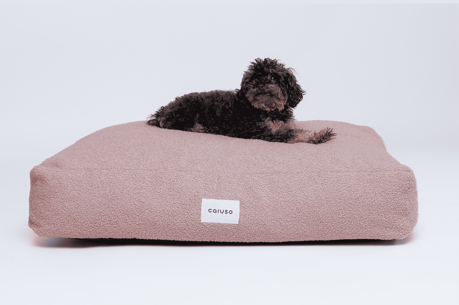 orthopädisches hundebett in rosa mit teddyfell frontal mit kleinem Pudel